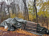 Raymond N Altieri review photo