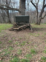 Gregory Skiles review photo