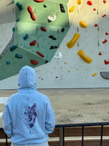 Sudadera Camperwilf® – Lobo Morado (Color Celeste)