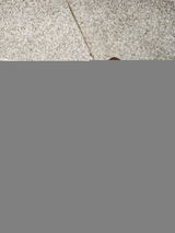 DILEESH PS review photo
