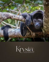 krysia.photos on IG review photo
