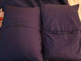 Blue D. review photo