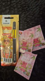 kvlicka review photo