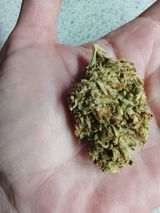 Long time stoner review photo