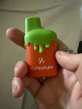 Sandro review photo