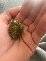 High Sugv review photo