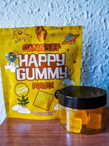 Shy_ThePup review photo
