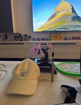 Sirblunt review photo