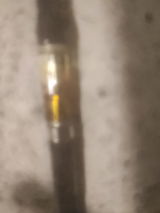 Kornel Grzyb review photo