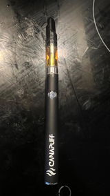 Leonel review photo