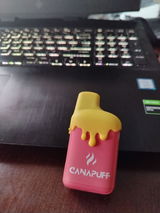 Martin Holubek review photo