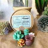 Stone & Scents review photo