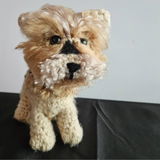 Holly review photo