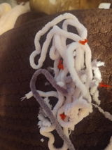 Etsy customer review photo