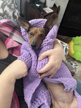 Etsy customer review photo