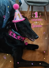 Collar Martingale BENÉFICO - 112 CARLOTA GALGOS