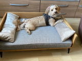 Hundebett LUNA "Eiche"