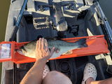 Native Watercraft Titan X Propel 12.5 Sit On Top Pedal Kayak