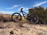 Steve in SB review photo