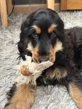 Margot review photo