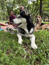 Hitesh review photo