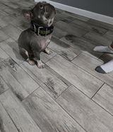 Jc review photo