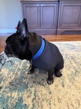 Carly review photo