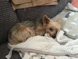 Louise Ogle review photo