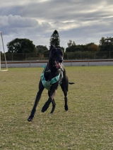 Pearla B. review photo