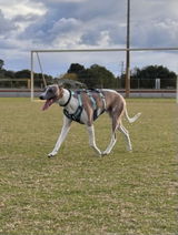 Pearla B. review photo