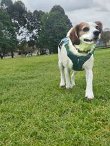 Susan H. review photo