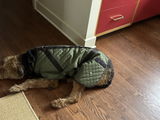 Samuel L. review photo