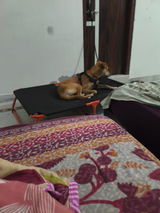 Achyut SIngh review photo