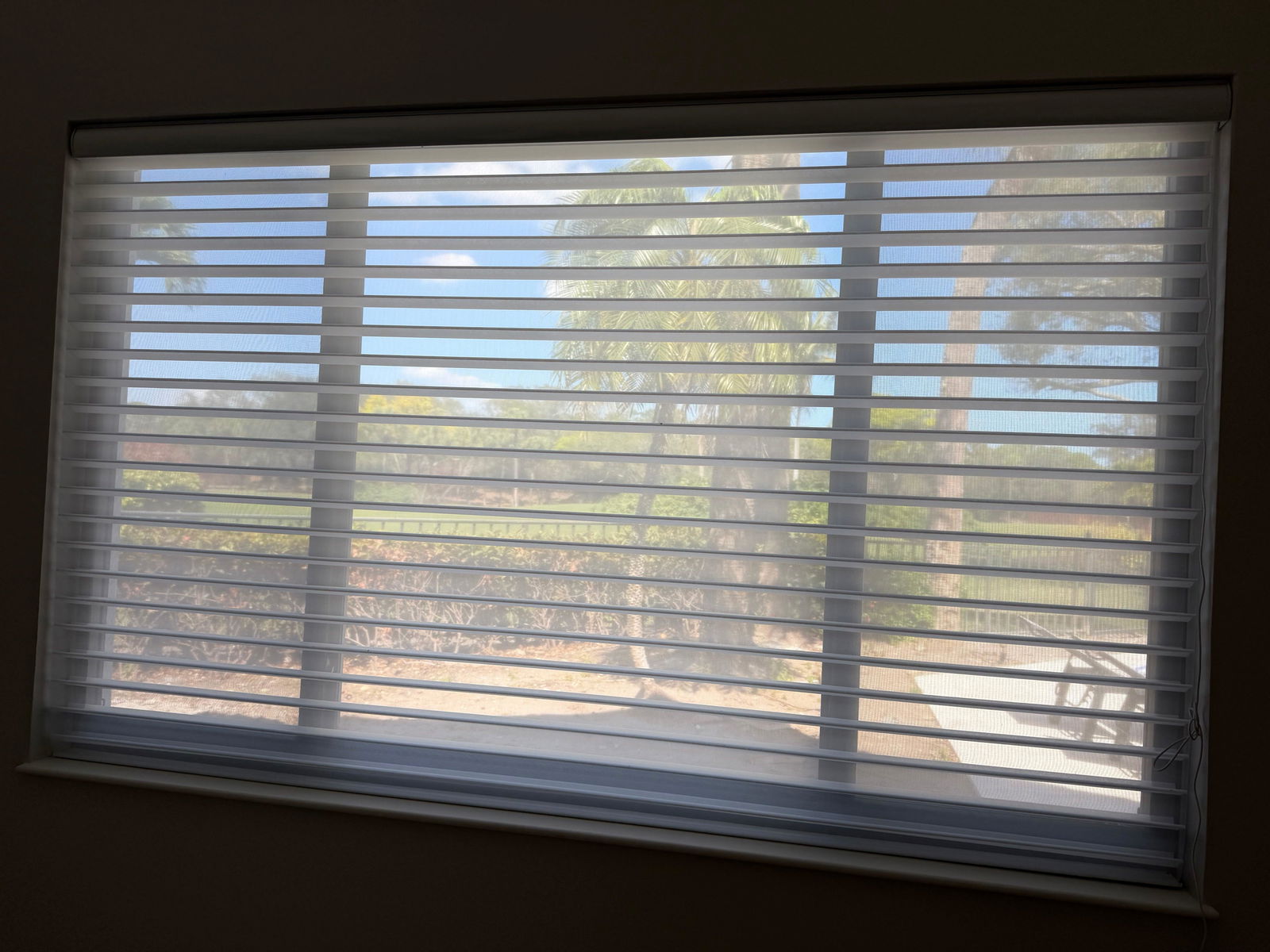 Canisteo Motorized Sheer Shades | Light Filtering | Airy