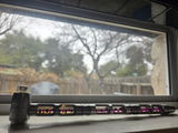 Scott C. review photo