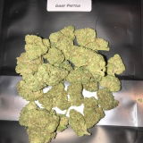 Tim P. review photo