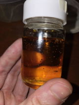 Anonymous review photo