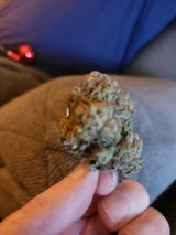 a review photo