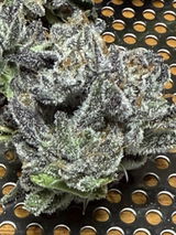 Joseph F Curtin Jr review photo