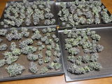 Joseph F Curtin Jr review photo