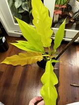 Amy Biscoglia review photo