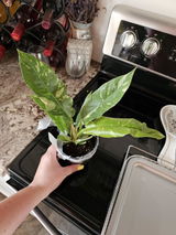 Sherry Bixler review photo