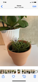 Glenda Helbig review photo
