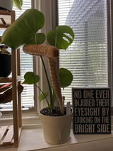 Carolyn Infanti review photo