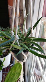 Teresa Yoho review photo