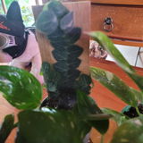 Shawna Pankonin review photo