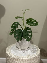 jessica martinez review photo