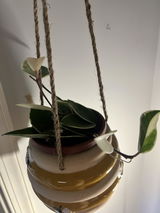 Kimberly Greig review photo