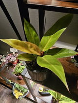 Jessica Durkee review photo