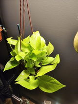 Jessica Durkee review photo